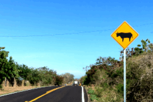 ¿Que altura debe tener un señalamiento vertical?