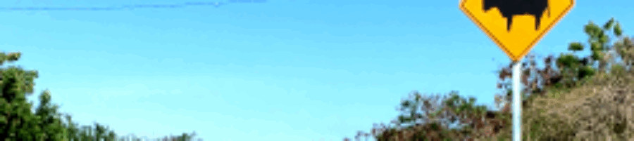 ¿Que altura debe tener un señalamiento vertical?